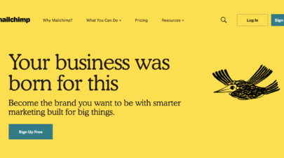 MailChimp Website